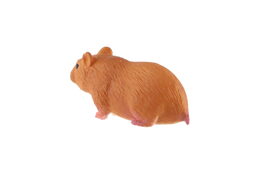 Morče domácí zooted 6cm v sáčku