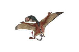 Pteropterus zooted plast15cm v sáčku