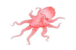 Chobotnice antistresová pevné tělo plast/silikon 15x19cm 4 barvy na kartě