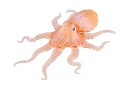 Chobotnice antistresová pevné tělo plast/silikon 15x19cm 4 barvy na kartě