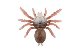 Pavouk antistresový pevné tělo plast/silikon 19x18cm na kartě