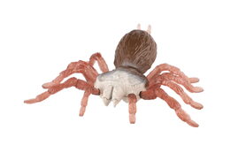 Pavouk antistresový pevné tělo plast/silikon 19x18cm na kartě