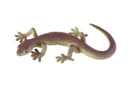 Zvířátka plazi a ještěři plast 12-21cm mix druhů 12ks v boxu