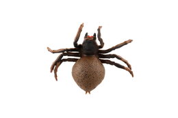 Pavouk antistresový natahovací silikon 10cm na kartě