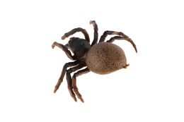 Pavouk antistresový natahovací silikon 10cm na kartě