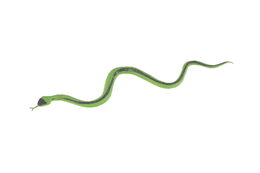 Had plast 23cm mix druhů 60ks v boxu