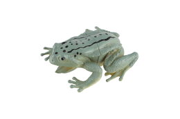 Žába plast 7x7cm mix druhů 36ks v boxu