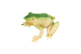 Žába plast 7x7cm mix druhů 36ks v boxu