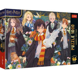 Puzzle Premium Plus: Harry Potter 1000 dílků 68,3x48cm v krabici 40x27x6cm