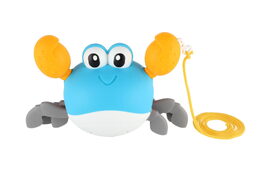 Krab lezoucí na natažení plast 20x12cm 2 barvy 6ks v boxu