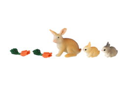 Králík/Králíček 3ks plast s doplňky v krabičce 16x9,5x4cm