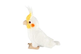 Korela chocholatá plyš 9x25cm 0m+