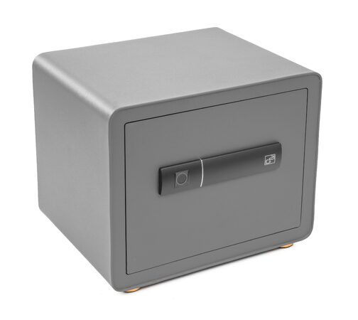 Trezor G21 na otisk prstu 380 x 310 x 300 mm