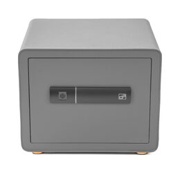 Trezor G21 na otisk prstu 380 x 310 x 300 mm