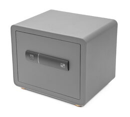 Trezor G21 na otisk prstu 380 x 310 x 300 mm