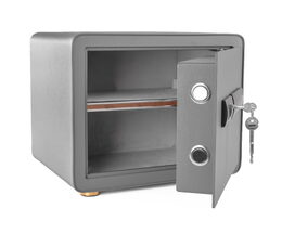 Trezor G21 na otisk prstu 380 x 310 x 300 mm