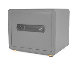 Trezor G21 na otisk prstu 380 x 310 x 300 mm