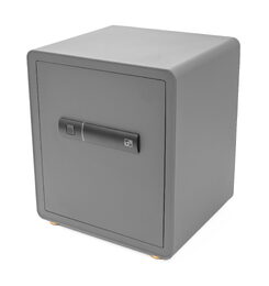 Trezor G21 na otisk prstu 400 x 450 x 350 mm