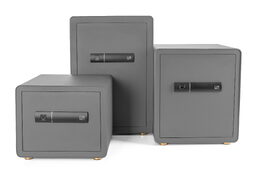 Trezor G21 na otisk prstu 420 x 600 x 380 mm