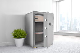 Trezor G21 na otisk prstu 420 x 600 x 380 mm