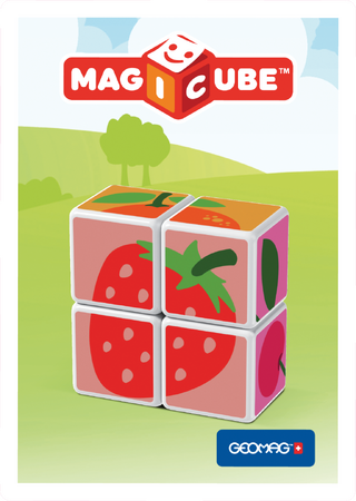 Geomag Magicube Zvířátka