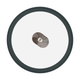RESTO 93901 Hrnec s pokličkou 20 cm, 2.4l (RAN)
