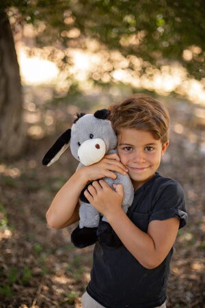 Osel plyšový 40 cm