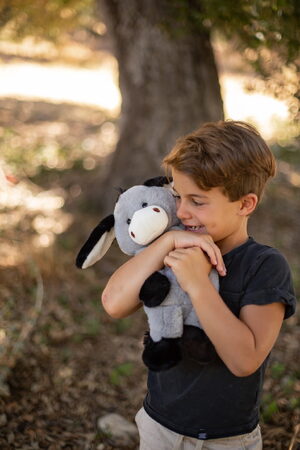 Osel plyšový 40 cm