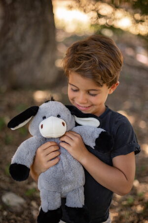 Osel plyšový 40 cm