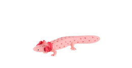 Axolotl mexický zooted plast 8cm v sáčku