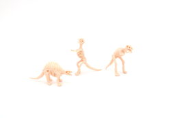 Archeologický set – dinosauři -Spinosaurus / Tyrannosaurus Rex / Signal Raptor