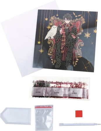 Crystal Art pohlednice - Harry Potter a Hedvika, 18x18cm