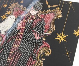 Crystal Art pohlednice - Harry Potter a Hedvika, 18x18cm