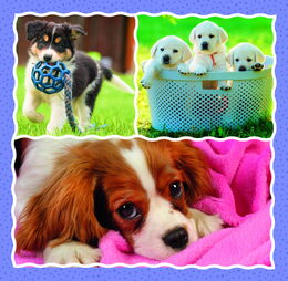 Puzzle 3v1 Štěňátka 20x19,5cm v krabici 28x28x6cm