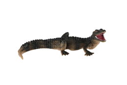 Krokodýl západoafrický malý zooted plast 11cm