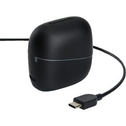 RB F10 TWS BLK PANASONIC