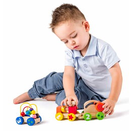 102191129 Skládací vláček se šrou. WOODY