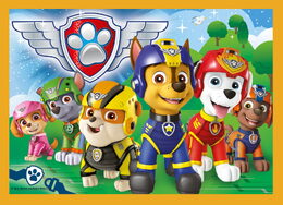 Puzzle 4v1 Prázdniny Tlapková Patrola/Paw Patrol 28,5x20,5cm v krabici 28x28x6cm