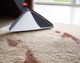 Techwood TAN8005R tepovač AKU, čistič koberců