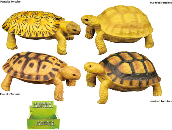 Zvířecí svět - Želva H54 4 druhy