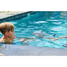 ROBO ALIVE Žraločí útok - Velký bílý žralok