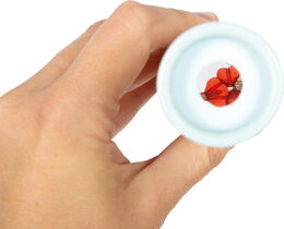 small foot Kaleidoskop Přátelé z džungle