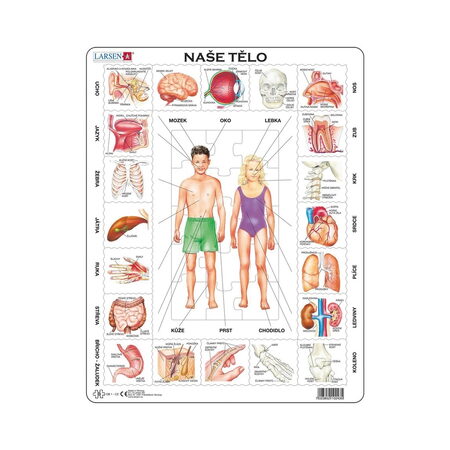 Larsen Vzdělávací puzzle Naše tělo 35 dílků