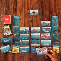 Ridley's Games Selfish Ztroskotaná edice