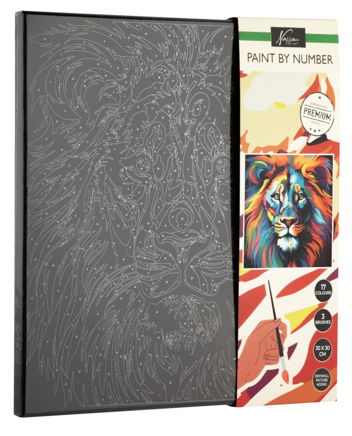 Malování podle čísel na černé plátno lev