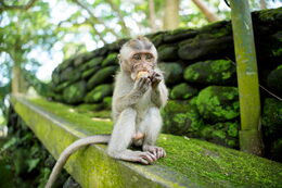 Objektiv Tamron 25-200 mm F/2.8-5.6 Di III VXD G2 pro Sony FE