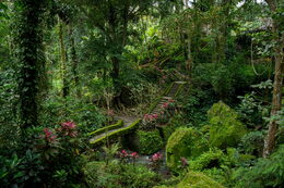 Objektiv Tamron 25-200 mm F/2.8-5.6 Di III VXD G2 pro Sony FE