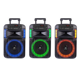 Reproduktor Trevi, XF 370 KB, MP3 přehrávač, USB/micro SD, AUX-IN, LED displej,
funkce TWS, disco light, dálkové ovádání, dynamický mikrofo