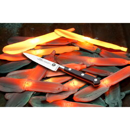 Nůž Lion Sabatier, 800180, Ideal inox, nůž na odřezky, 10 cm, nerez ocel, plně
kovaný, nerez nýty, POM rukojeť