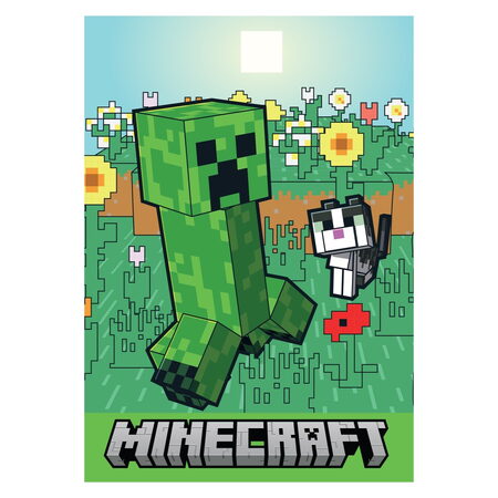Minecraft blok A6 (Creeper)